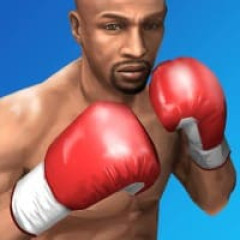 Boxing 3D