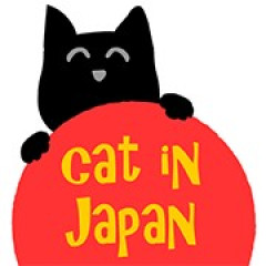 Cat In Japan