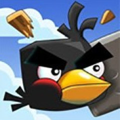 Crazy Birds