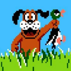Duck Hunt
