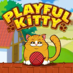 Playfull Kitty